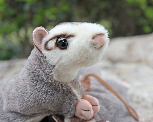 Sugar Glider Plush
