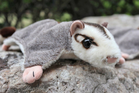 Sugar Glider Plush