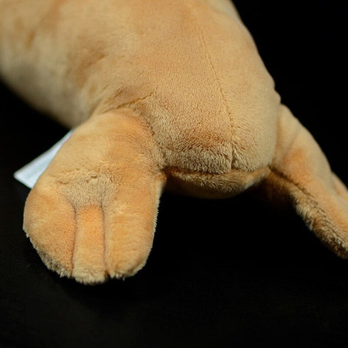 Walrus Stuffed Animal