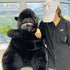Gorilla Stuffed Animal