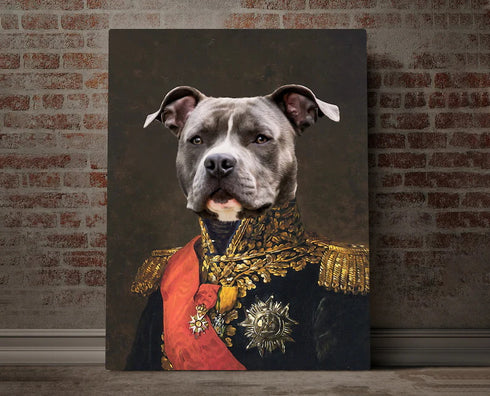 Custom Hand-Drawn 1-Pet 30x30CM
