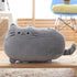 Cat Plush Pillow