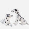 Dalmatian Stuffed Animal Plush Toy