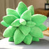 Echeveria Plush Soft Toy Stuffed Plushie