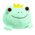 Frog plush teddy soft toy
