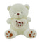 I love you teddy bear plush