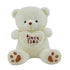 I love you teddy bear plush