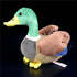 Mallard Duck Plush