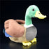 Mallard Duck Plush