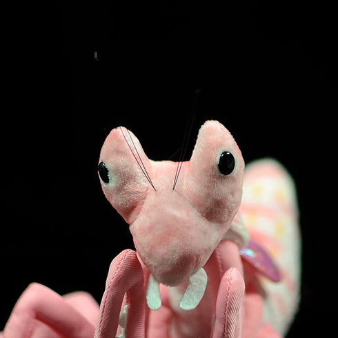 Praying Mantis Stuffed Animal