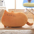 Cat Plush Pillow