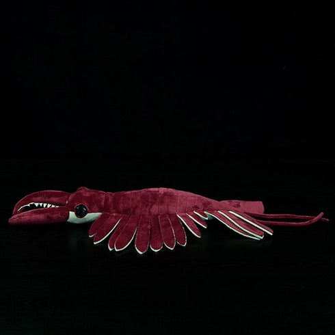 Anomalocaris Plush