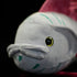 Oarfish Plush
