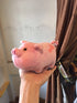 Pig Plush Stuffed Animal