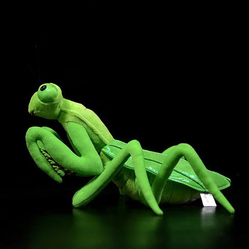 Praying Mantis Stuffed Animal