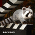 Realistic Raccoon Plush