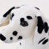 Dalmatian Stuffed Animal Plush Toy
