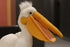 Pelican Stuffed Animal Plush Toy