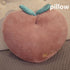 Peach Plush Pillow