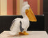 Pelican Stuffed Animal Plush Toy