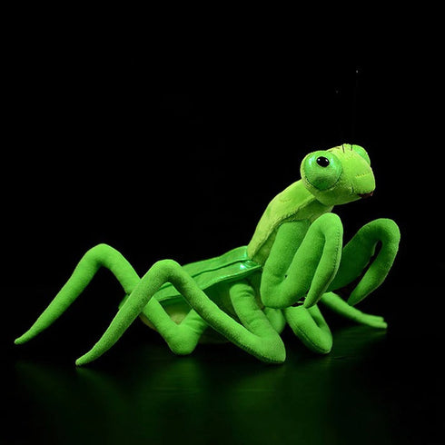 Praying Mantis Stuffed Animal