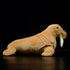 Walrus Stuffed Animal