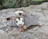 Sugar Glider Plush