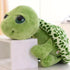 Turtle Teddy Bear