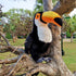 Toucan Plush