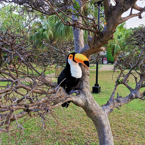 Toucan Plush