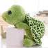 Turtle Teddy Bear