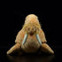 Walrus Stuffed Animal
