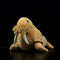Walrus Stuffed Animal