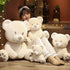 White Teddy Bear