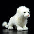 White Lion Plush Stuffed Animal Toy