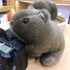 Wombat Stuffed Animal Plush Toy