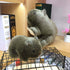 Wombat Stuffed Animal Plush Toy